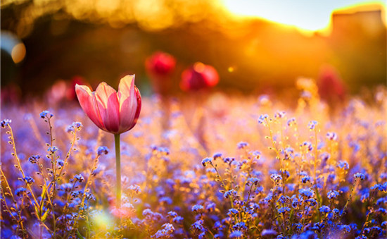 3.jpg 3.jpg