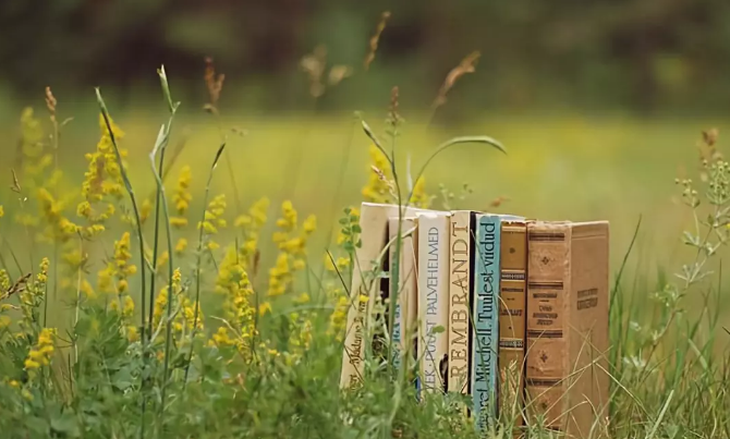 爱燃情感老公出轨护小三,如何挽回老公? 爱燃情感老公出轨护小三,如何挽回老公?