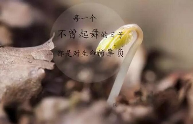 爱燃情感:四川男子杀妻肢解,女人嫁错人有多可怕 爱燃情感:四川男子杀妻肢解,女人嫁错人有多可怕